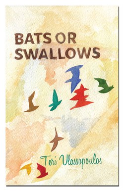 Bats or Swallows