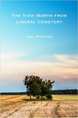 The View North from Liberal Cemetery